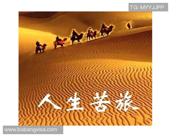 张军的极限运动人生探索与挑战的深度对话之旅